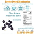 thumbnail image 5 of Freeze-Dried Blueberries Bags of 4, 15g Each – Gluten-Free, Crispy & Delicious, On-the-Go Snack, Ideal for Cereal, Smoothies, School Lunches,, 5 of 9