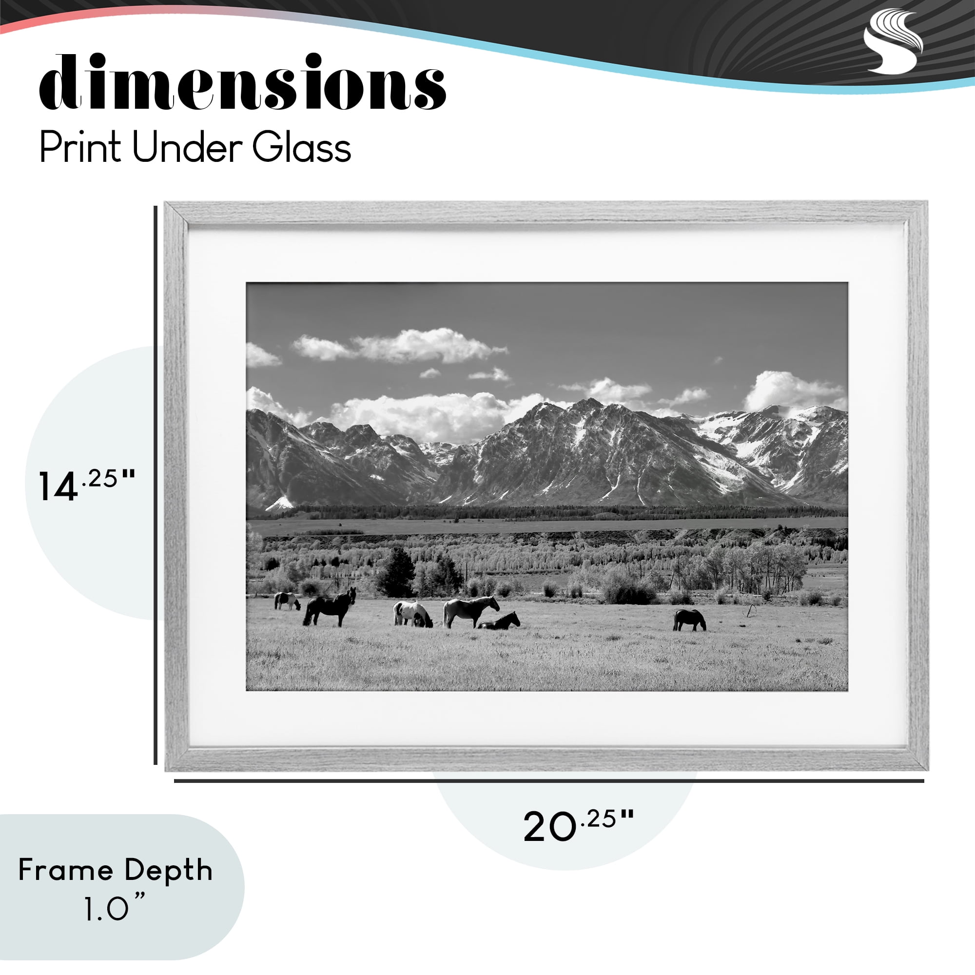 Stupell Industries Wyoming Ranch Horses Grazing Gray Framed Print Under Glass, design by Steve Toole