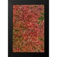thumbnail image 2 of Peterson, Lee 17x24 Black Modern Framed Museum Art Print Titled - Fall Leaves II, 2 of 5