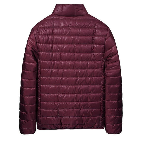 Dgankt Winter Coats for Men Men’s Lightweight Down Jacket Water Resistant Puffer Insulated Warm Winter Coat Long Sleeve Cotton-Lined with Pockets