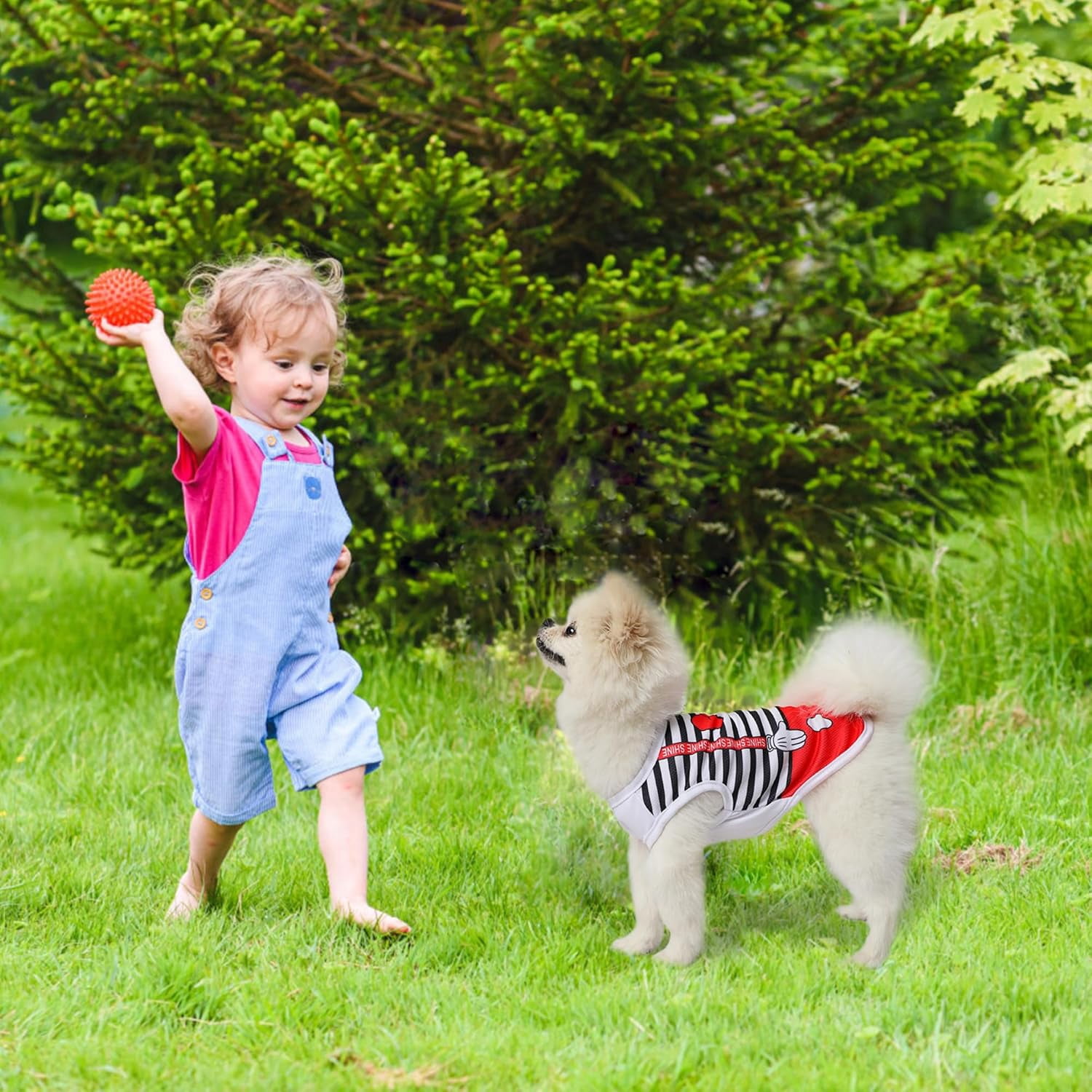 4 Pack Mesh Dog Shirts for Small Dogs: Stretchy Dog Clothes with Cute Patterns, Size XXS-XL Fit for 2-16lb Dogs Pet T-Shirts, Girl & Boy Puppy Clothes for Spring Summer (Pink Set, Large)