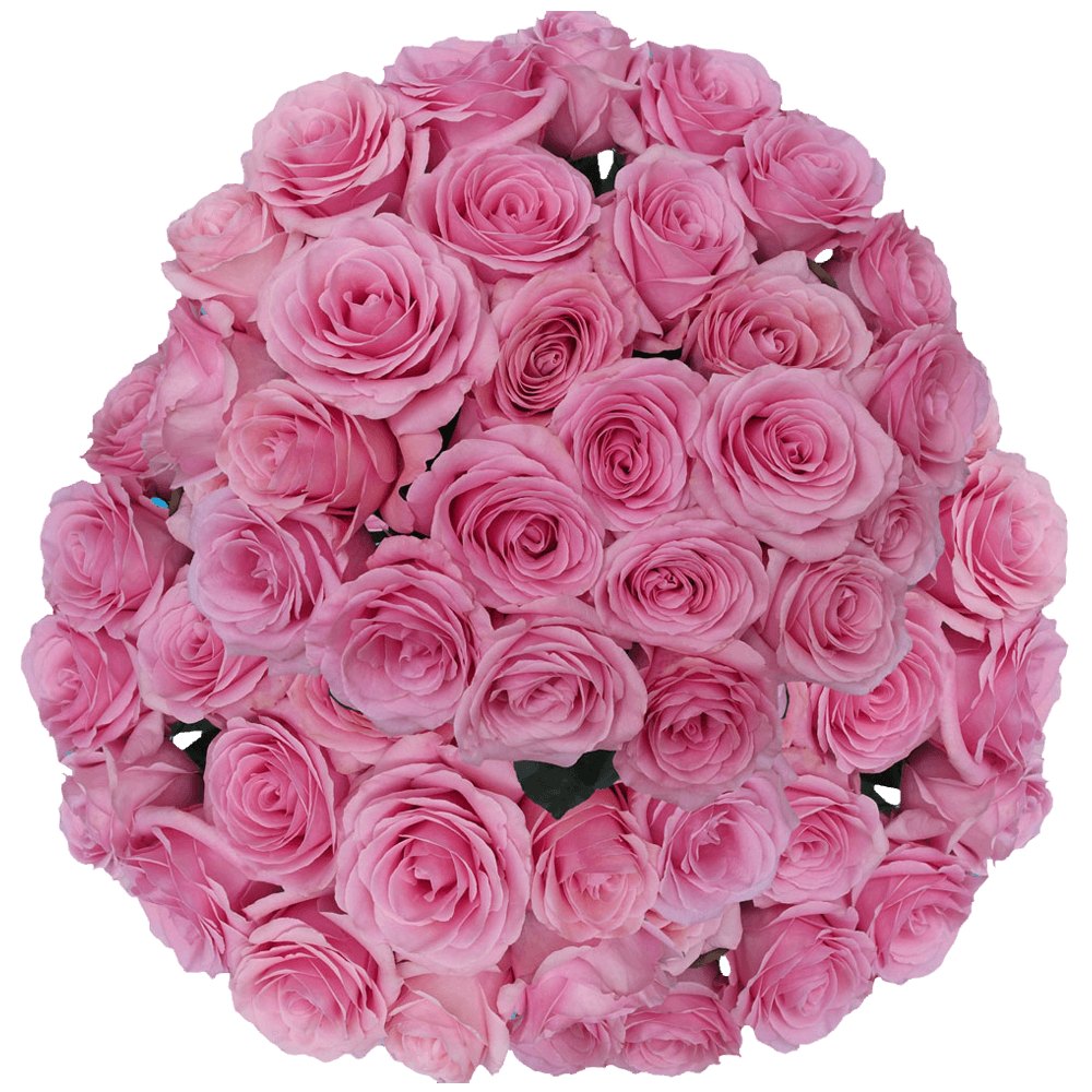100 Stems of Pink Saga Roses- Fresh Flower Delivery - Walmart.com ...