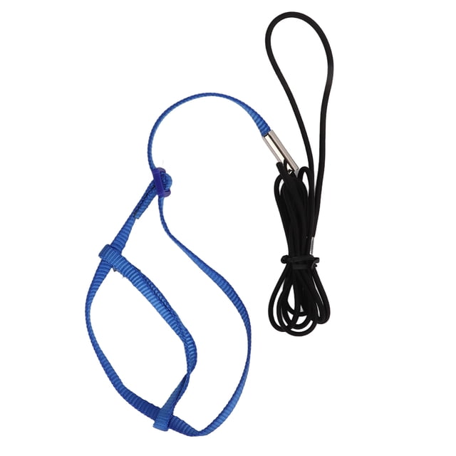 Arnés para loros, correa ajustable para pájaros voladores, cuerda de tracción con gancho para pájaros, loros, azul real, talla S