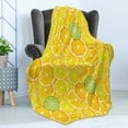 thumbnail image 4 of Yellow Soft Flannel Fleece Blanket, Lemon Orange Lime Fruit Citrus Round Cut Circles Big and Small Pattern, Cozy Plush for Indoor and Outdoor Use, 70" x 90", Yellow White and Green, by Ambesonne, 4 of 5