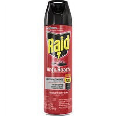 Raid Outdoor Ant & Roach Killer Spray, 17.5 fl oz, 2 Count