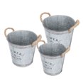 thumbnail image 1 of VERDANVERSE 3Ud Macetas Creativas De Hierro Para Plantas Decorativas En Hogar Color, 1 of 7