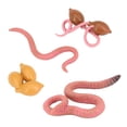 thumbnail image 1 of Cycle de Croissance Modèle Animal Éducation Biologie Jouets - Chaud comme la Terre, 1 of 6