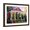 Brown Frame, variant on Art.com New Orleans Shotgun Stretched Canvas Print Wall Art by Diane Millsap, 24" x 18"