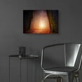 thumbnail image 6 of Epic Art 'The Unknown Path' by Epic Portfolio Acrylic Glass Wall Art, 24"x16", 6 of 8