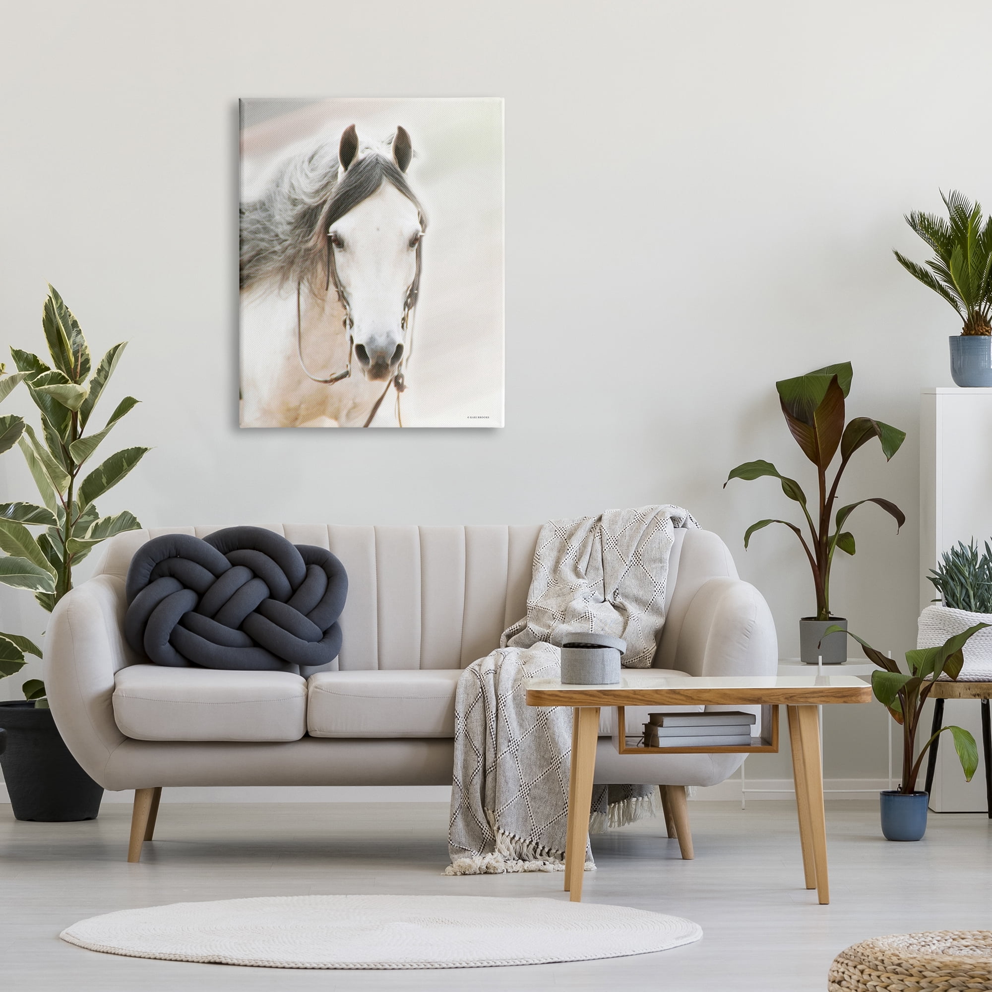 Stupell Industries White Horse Portrait Animals & Insects Photography Gallery Wrapped Canvas Print Wall Art, 30 x 40