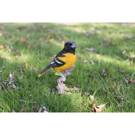 Hi-Line Gift Ltd. Oriole On Branch Statue