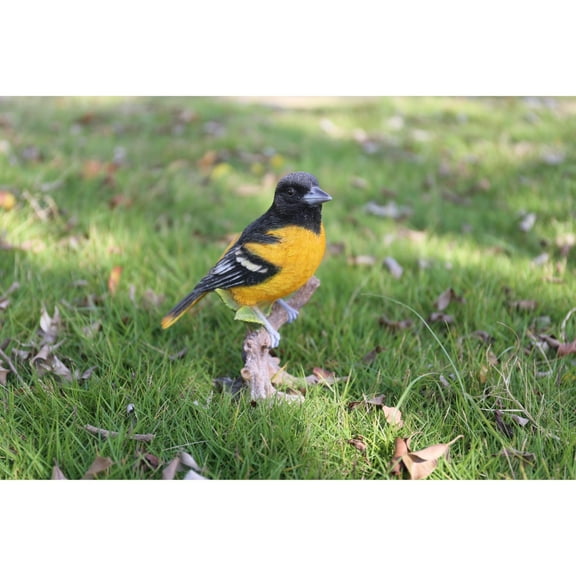 Hi-Line Gift Ltd. Oriole On Branch Statue