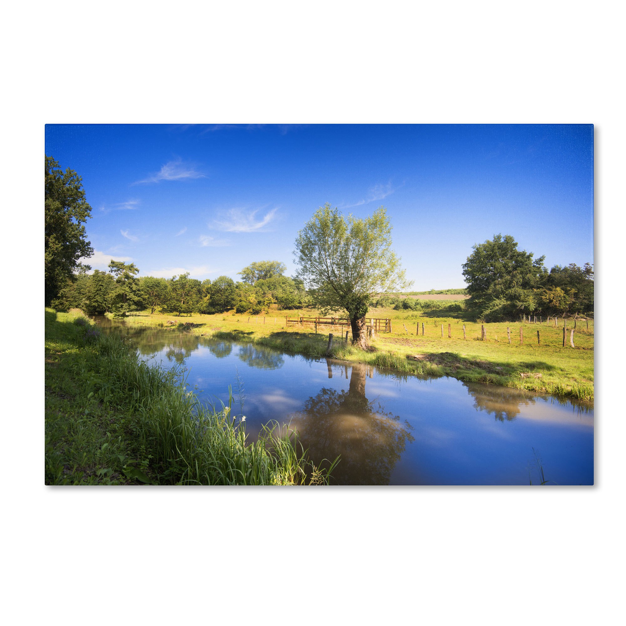 Trademark Fine Art "Blue Brook" Canvas Art by Philippe Sainte-Laudy