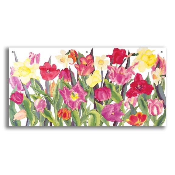 Epic Art 'Tulips And Daffodils' by Carissa Luminess, Acrylic Glass Wall Art, 48"x24"