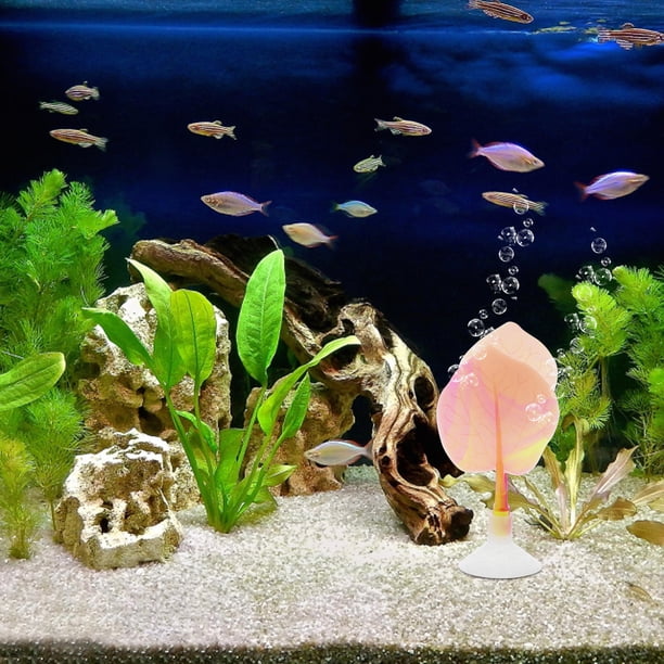 WHAMVOX Para Acuario Con De Betta En Silicona Suave Y Protección De