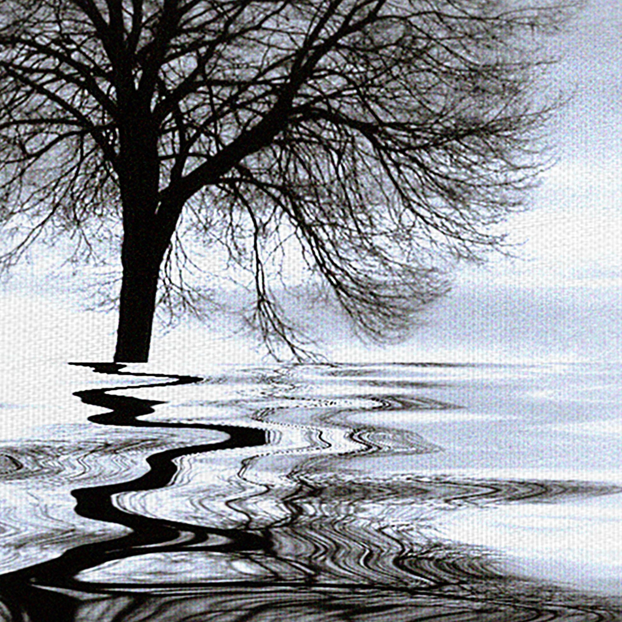 Masterpiece Art Gallery Imagine Tree Reflection by Ilona Wellmann Canvas Photo Art Print 16" x 20"