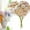 C, variant on Artificial Flowers Artificial Silk Daisy Fake Flowers UV Resistant Outdoor Fake Wildflowers with Stems Greenery Shrubs Plants Arrangements for Home Garden for Decoration (Champagne)