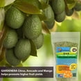 thumbnail image 3 of ⭐ 𝐁𝐄𝐒𝐓𝐒𝐄𝐋𝐋𝐄𝐑 6-4-6 Avocado Citrus Tree Plant Food for Outdoor/Indoor Gardening | Quick-Release Nitrogen Fertilizer | Orange, Lime, Avocado and Lemon Tree Fertilizer (5 Quarts), 3 of 7