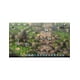 thumbnail image 2 of Tactics Ogre Reborn PS5, 2 of 5