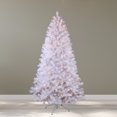 thumbnail image 4 of Danson Décor 500CT LED Plug In Lights, Warm White, 4 of 4