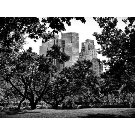 Place for Lovers in Central Park, Manhattan, New York City, Black and White Photography Print Wall Art By Philippe (Best Places In New York For Photography)