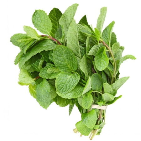 Mint Leaves (14 oz.)