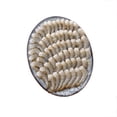 thumbnail image 1 of Camarón mediano sin cabeza por kilo, 1 of 5