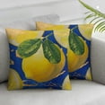thumbnail image 3 of nygtbtfer Pillow Set of 2 Summer Decor s with Blue Background Holiday Decorative Throw Pillow Cases Outdoor for Home White, 3 of 7