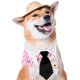 thumbnail image 5 of Gato perro collar pajarita ajustable algodón mascota Formal corbata para fiesta de boda Tmvgtek Oficina Multiescena Multifunción, 5 of 6