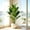 91cm-24 Leaves, variant on 67-112cm Large Artificial Plants Bird of Paradise Tree Tropical Fake Banana Leaves Plastic Palm Plants for Home Garden Decor