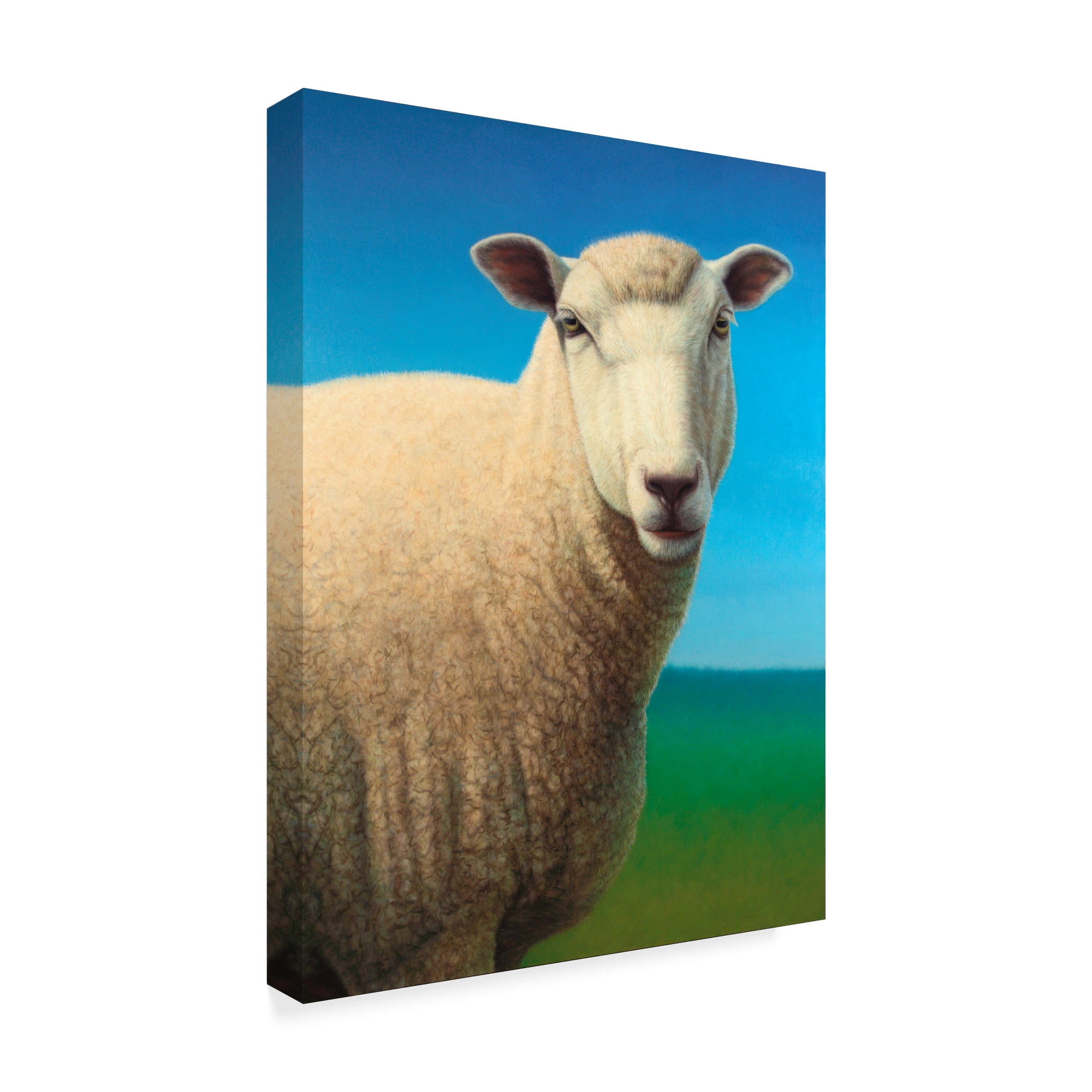 Trademark Fine Art 'Sheep' Canvas Art by James W. Johnson