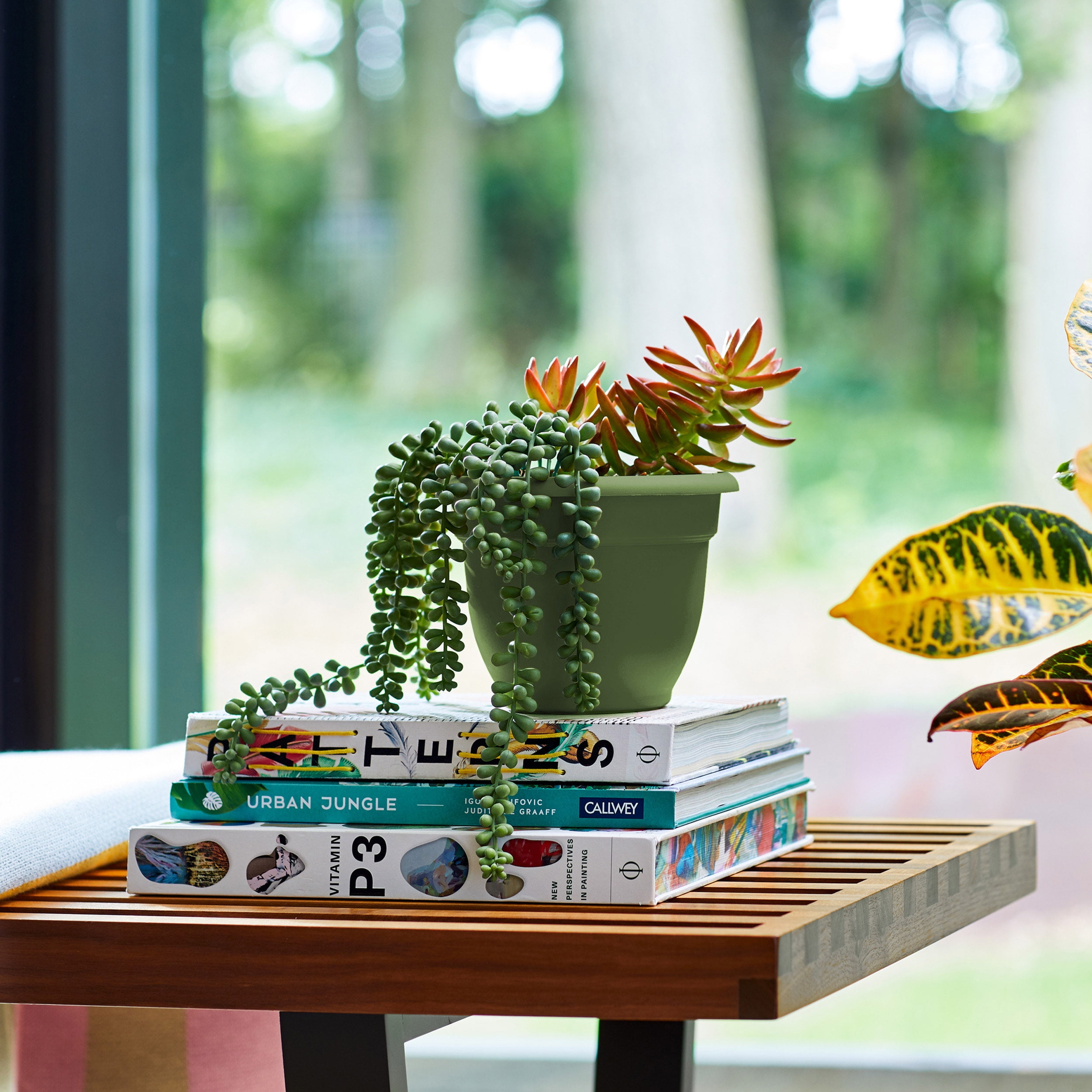 Bloem 10-in Ariana Self Watering Plastic Planter - Living Green