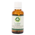 thumbnail image 1 of Labdanum Essential Oil Cistus Ladaniferus Labdanum Oil For Aromatherapy Undiluted Pure Natural Steam Distilled Therapeutic Grade 30ml 1.01oz By R V Essential, 1 of 2