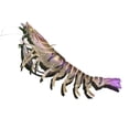 thumbnail image 2 of 1PC 75in TPE Simulated Shrimp Lure with Lead Hooks, Lifelike Artificial Bait for Freshwater Saltwater Fishing, Night Fishing Lure for Bass Trout Perch, 2 of 3