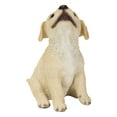 thumbnail image 4 of Hi-Line Gift Ltd 87703-G Yellow Labrador Puppy Howling, 4 of 9