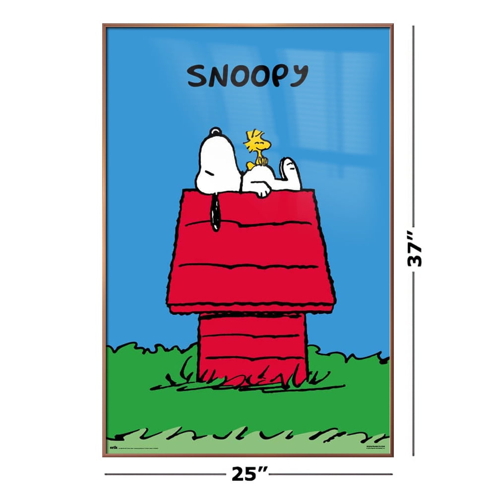 SNOOPY & WOODSTOCK~Mat Print~ONE CRAZY DOG HOUSE PARTY~NEW