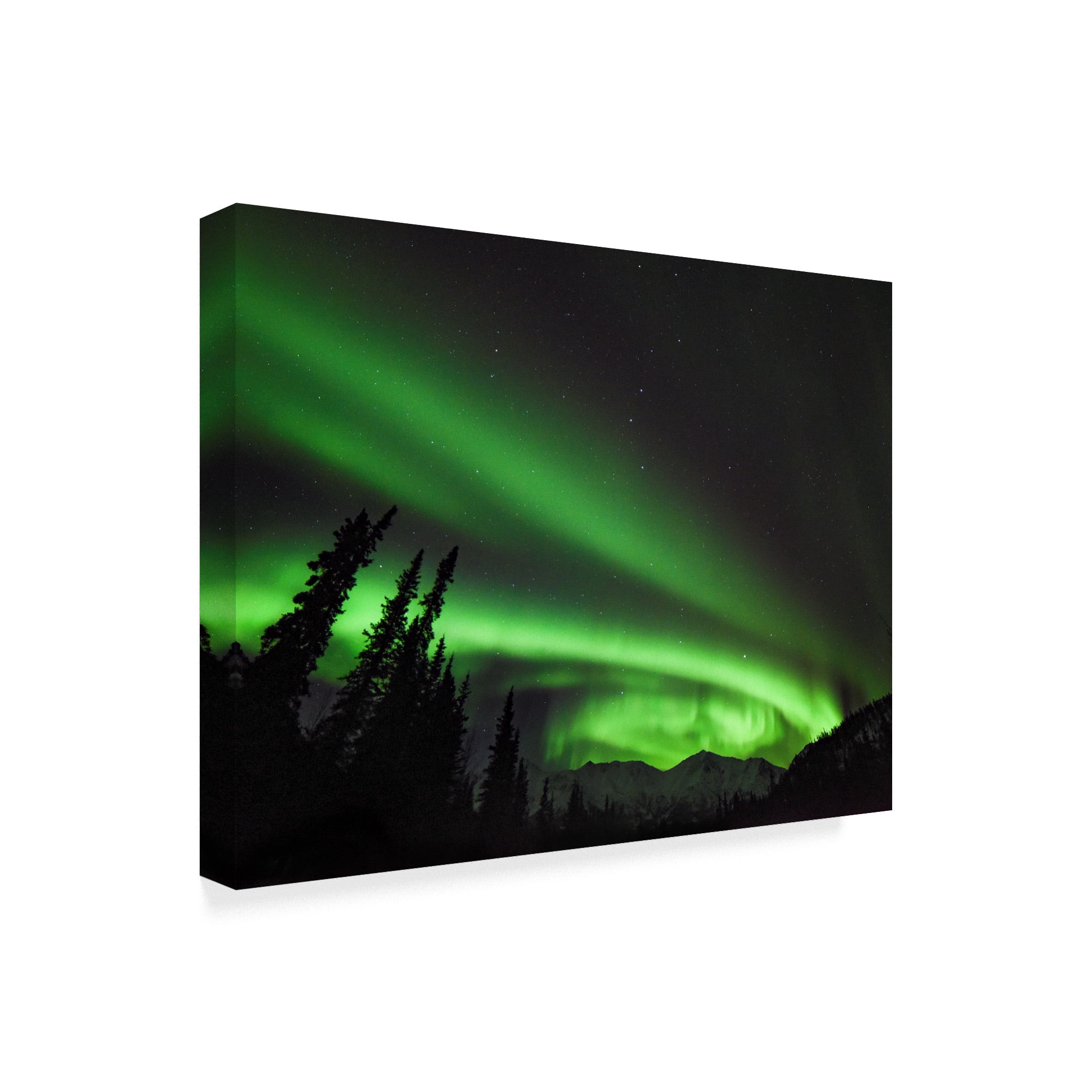 Trademark Fine Art 'Circles Of Wonder' Canvas Art by Brenda Petrella Photography Llc