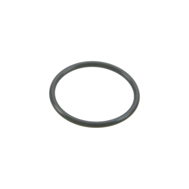 Genuine Intake Plenum Gasket