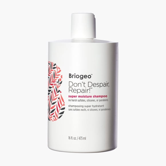 Briogeo Don't Despair, Repair! Super Moisture Shampoo, Dry Damaged Hair, Hair Shampoo with Argan Oil for Hair, Hair Moisturizer Hair Treatment, Protei