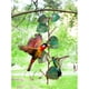 thumbnail image 1 of s De árbol De Suspensión Decorativa Con Hoja De Para Comedero De Pájaros CUTICAT  Comedero para pájaros, 1 of 7