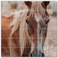 thumbnail image 1 of Picture-Tiles.com: Horse Ceramic Tile Wall Mural WAL500770-66XL. 72"W x 72"H using (36) 12" x 12" Ceramic Tiles-Satin Finish, 1 of 3