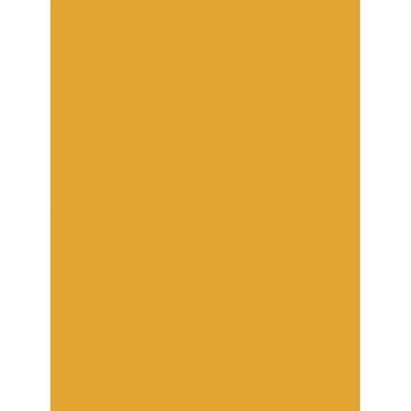 Tiffen 4 x 5.65" 2 Tobacco Solid Color Filter