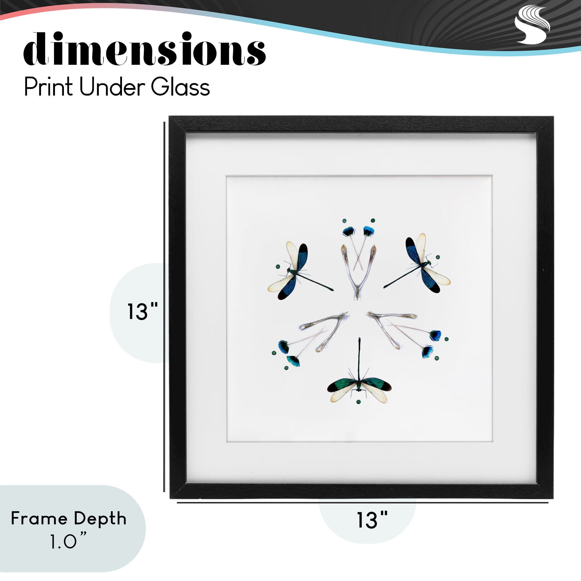 Stupell Industries Simple Dragonfly Symmetry Black Framed Print Under Glass, design by Beth Adoette