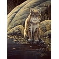 thumbnail image 2 of Goebel, Wilhelm 19x24 Black Ornate Wood Framed with Double Matting Museum Art Print Titled - Backlight-Bobcat, 2 of 4