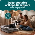 thumbnail image 2 of FurHaven Pet Products Orthopedic Sofa-Style Pet Bed for Dogs & Cats, Diamond Gray, Large, 2 of 9