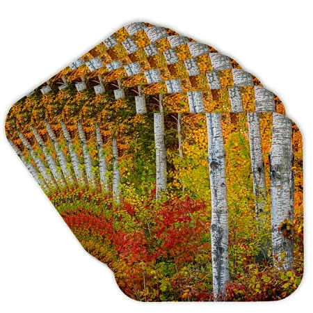3drose, Canada, Manitoba. Autumn Colors Hecla-grindstone Provincial Park., Set of 8 Coasters - Soft