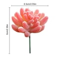 thumbnail image 3 of Coofit Artificial Succulent Lifelike Faux Succulent Plant Unpotted Succulent for Home, 3 of 10