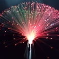 thumbnail image 4 of Lámpara de fibra óptica LED con forma de flor, colorida lámpara de fibra óptica que cambia de color, lámpara de ambiente festivo de Gypsophila, lámpara de decoración del hogar, 4 of 5