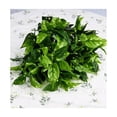 thumbnail image 4 of 6pcs Adornos Decoración Hogar De Plantas Artificiales Green1 hoja verde, 4 of 5