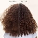 thumbnail image 5 of Carol's Daughter Goddess Strength Sulfate Free Shampoo with Castor Oil, Anti Frizz Hair Product, 11 fl oz, 5 of 13